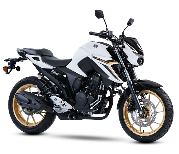 FZ25